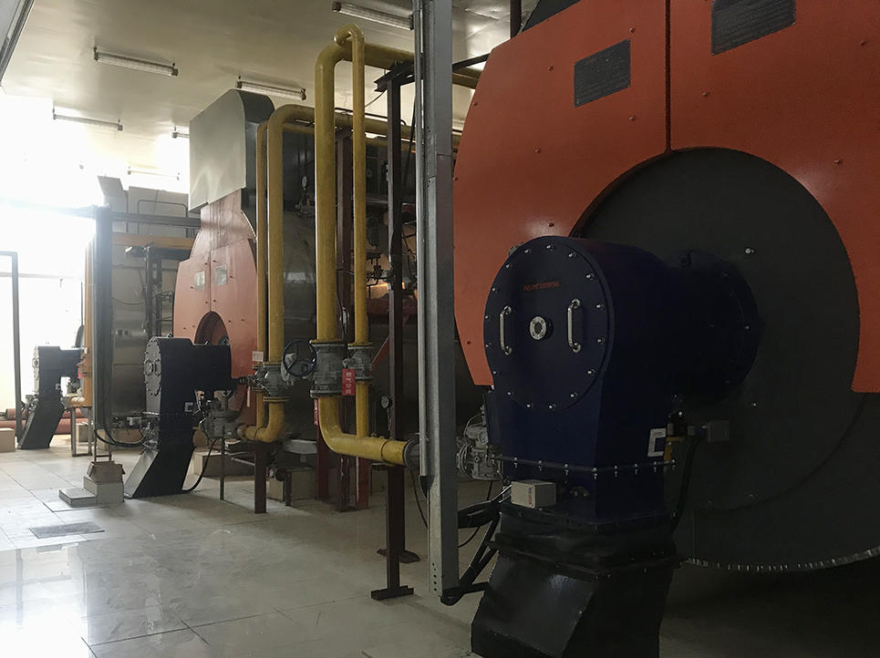 �����t�WԺ